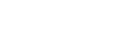 Website Solutions Master